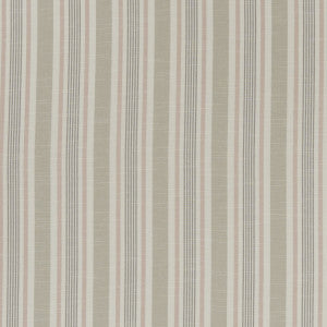 Clarke And Clarke Fabric Mappleton Blush