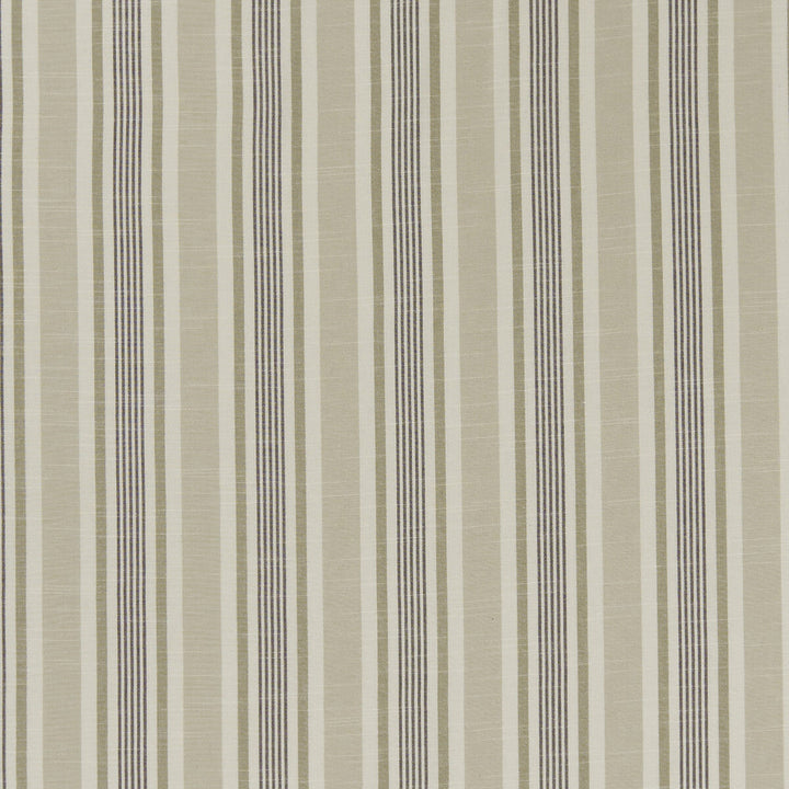 Mappleton Charcoal by Clarke And Clarke Designer Fabric CLARKE & CLARKE BEMPTON COTTON - 100% India Horizontal: 4.5 and Vertical: 0 55.125 - Swanky Fabrics -