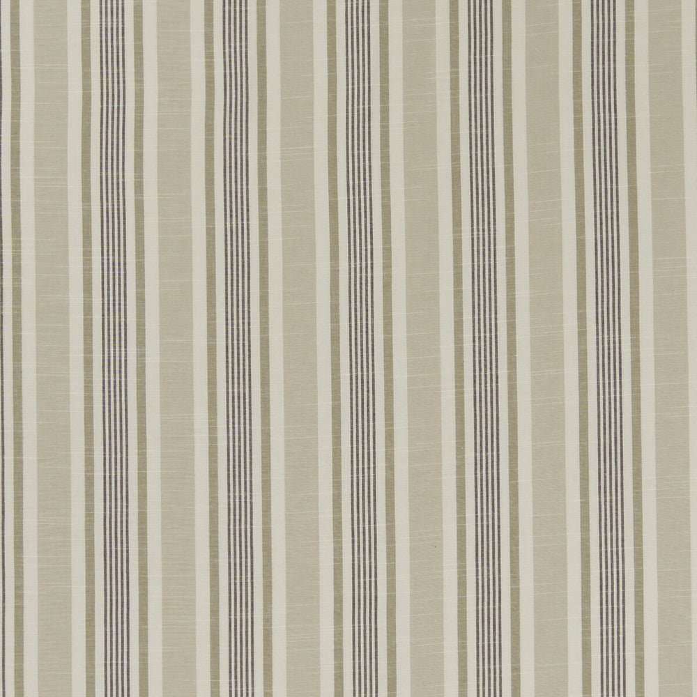 Mappleton Charcoal by Clarke And Clarke Designer Fabric CLARKE & CLARKE BEMPTON COTTON - 100% India Horizontal: 4.5 and Vertical: 0 55.125 - Swanky Fabrics -