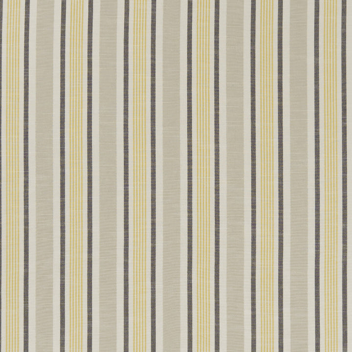 Mappleton Ochre by Clarke And Clarke Designer Fabric CLARKE & CLARKE BEMPTON COTTON - 100% India Horizontal: 4.5 and Vertical: 0 55.125 - Swanky Fabrics -