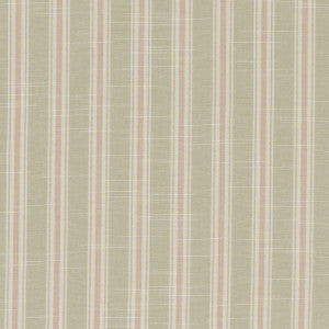 Clarke And Clarke Fabric Thornwick Blush