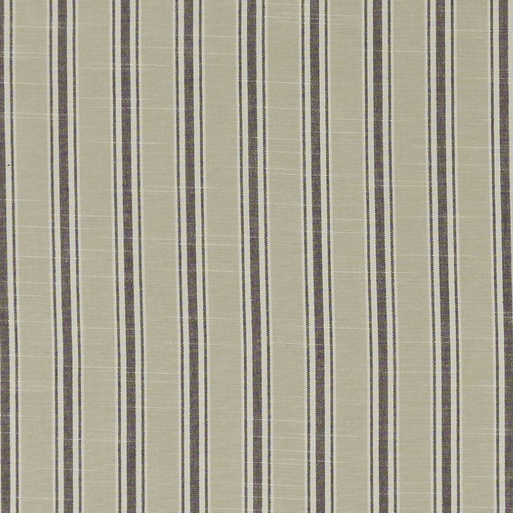 Thornwick Charcoal by Clarke And Clarke Designer Fabric CLARKE & CLARKE BEMPTON COTTON - 100% India Horizontal: 1.5 and Vertical: 0 55.125 - Swanky Fabrics -
