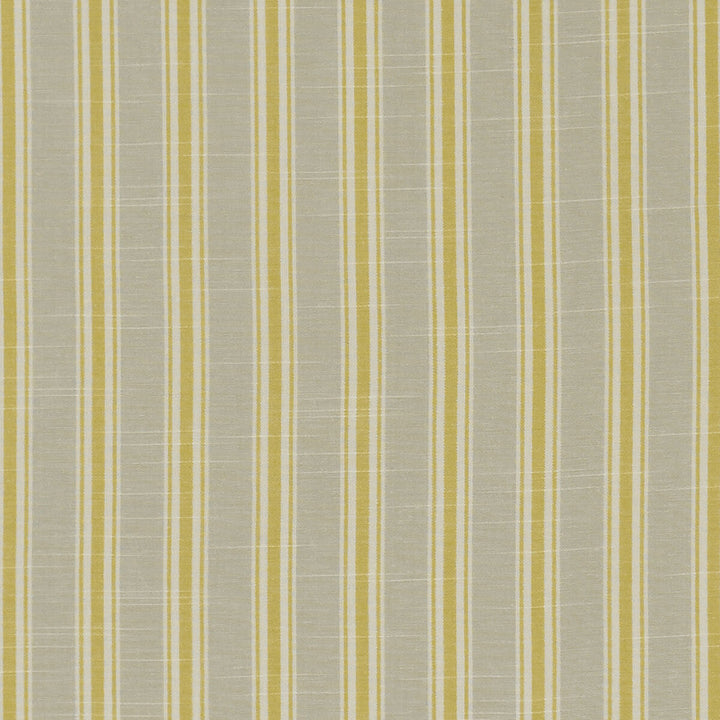 Thornwick Citrus by Clarke And Clarke Designer Fabric CLARKE & CLARKE BEMPTON COTTON - 100% India Horizontal: 1.5 and Vertical: 0 55.125 - Swanky Fabrics -