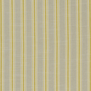 Clarke And Clarke Fabric Thornwick Citrus