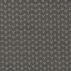 Clarke And Clarke Fabric Zion Charcoal