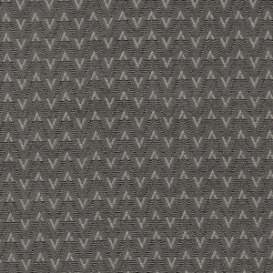 Clarke And Clarke Fabric Zion Charcoal