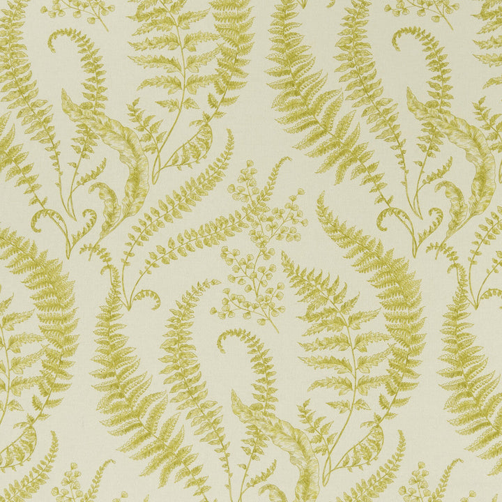 Folium Chartreuse by Clarke And Clarke Designer Fabric CLARKE & CLARKE EDEN COTTON - 90%;LINEN - 10% Spain MEDIUM Horizontal: 17.75 and Vertical: 31.5 54.375 - Swanky Fabrics -