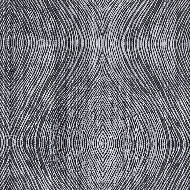 Luster Charcoal by Clarke And Clarke Designer Fabric CLARKE & CLARKE DIFFUSION POLYESTER - 58%;COTTON - 42% India - Horizontal: 9.125 and Vertical: 9.625 54.75 - Swanky Fabrics -