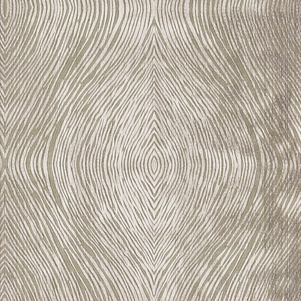 Luster Mocha by Clarke And Clarke Designer Fabric CLARKE & CLARKE DIFFUSION POLYESTER - 58%;COTTON - 42% India Horizontal: 9.125 and Vertical: 9.625 54.75 - Swanky Fabrics -