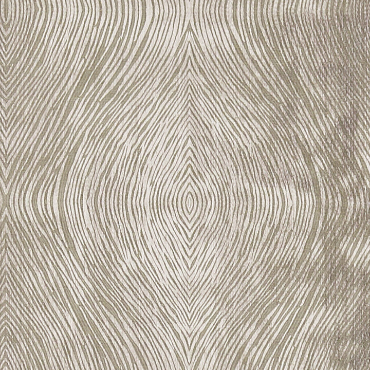 Luster Mocha by Clarke And Clarke Designer Fabric CLARKE & CLARKE DIFFUSION POLYESTER - 58%;COTTON - 42% India Horizontal: 9.125 and Vertical: 9.625 54.75 - Swanky Fabrics -