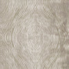 Clarke And Clarke Fabric Luster Mocha