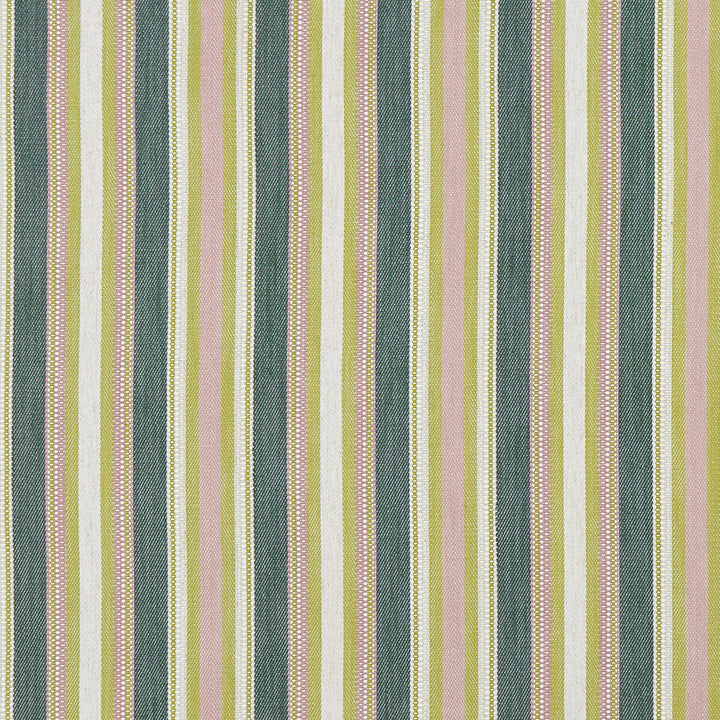 Ziba Apple/Blush by Clarke And Clarke Fabric Clarke And Clarke Fabric Ziba Apple/BlushFabric CLARKE & CLARKE PRINCE OF PERSIA COTTON - 45%;VISCOSE - 38%;POLYESTER - 16%;LINEN - 1% India </p><p>Repeat: H: 7.875, V: 0 54.75 - Fabric Carolina -