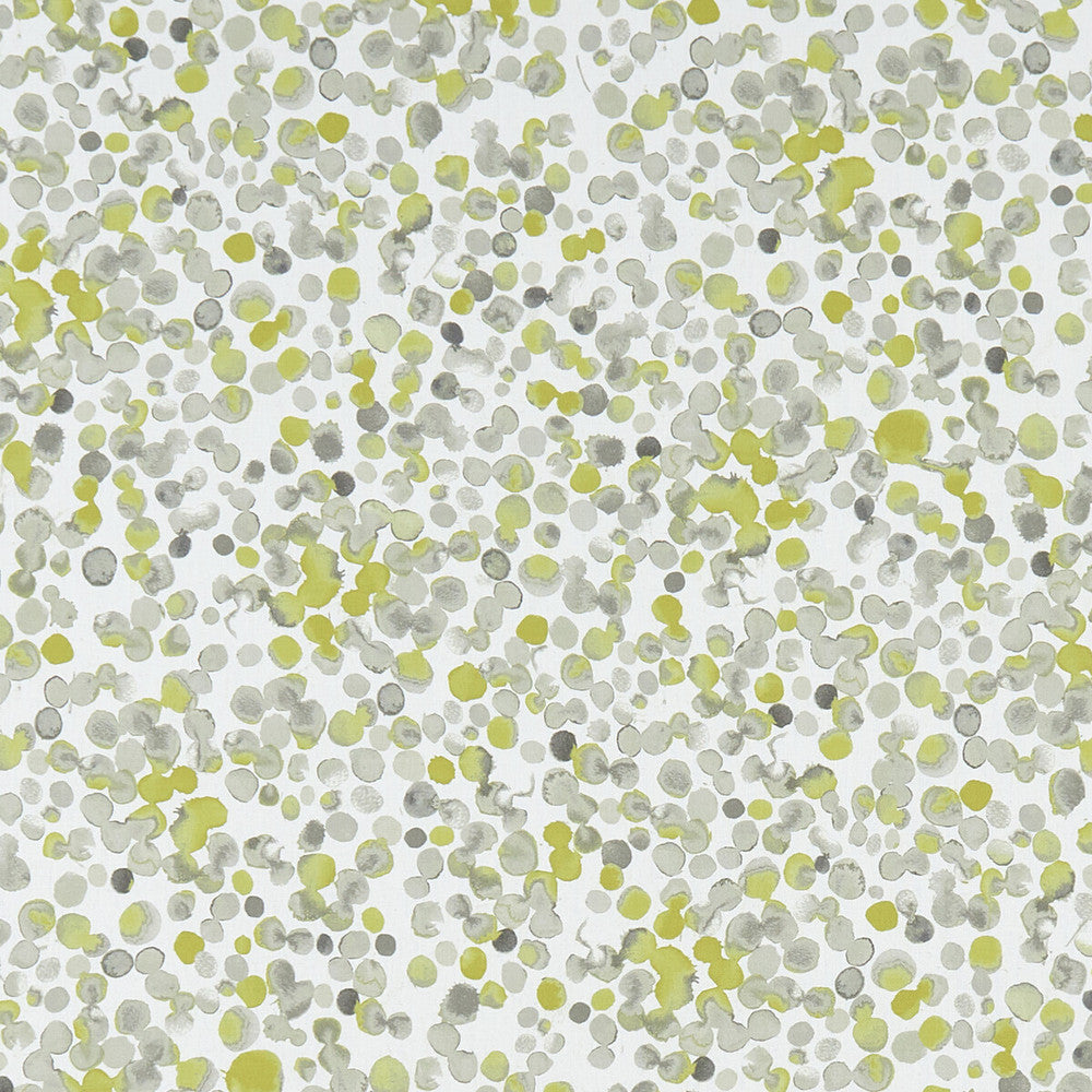 Lugar Chartreuse by Clarke And Clarke Fabric Clarke And Clarke Fabric Lugar ChartreuseFabric CLARKE & CLARKE PALMERO COTTON - 100% Spain </p><p>Repeat: H: 13.625, V: 27.625 54 - Fabric Carolina -