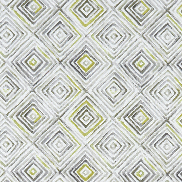 Otis Chartreuse/Charcoal by Clarke And Clarke Designer Fabric CLARKE & CLARKE PALMERO COTTON - 100% Spain MEDIUM Horizontal: 13.625 and Vertical: 13.875 54 - Swanky Fabrics -