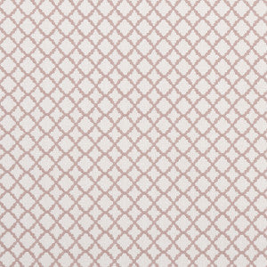 Clarke And Clarke Fabric Ariyana Blush