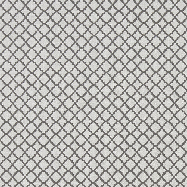Ariyana Charcoal by Clarke And Clarke Designer Fabric CLARKE & CLARKE PRINCE OF PERSIA COTTON - 61%;POLYESTER - 24%;VISCOSE - 15% India - Horizontal: 1.625 and Vertical: 1.625 50.5 - Swanky Fabrics -