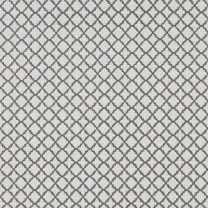 Clarke And Clarke Fabric Ariyana Charcoal