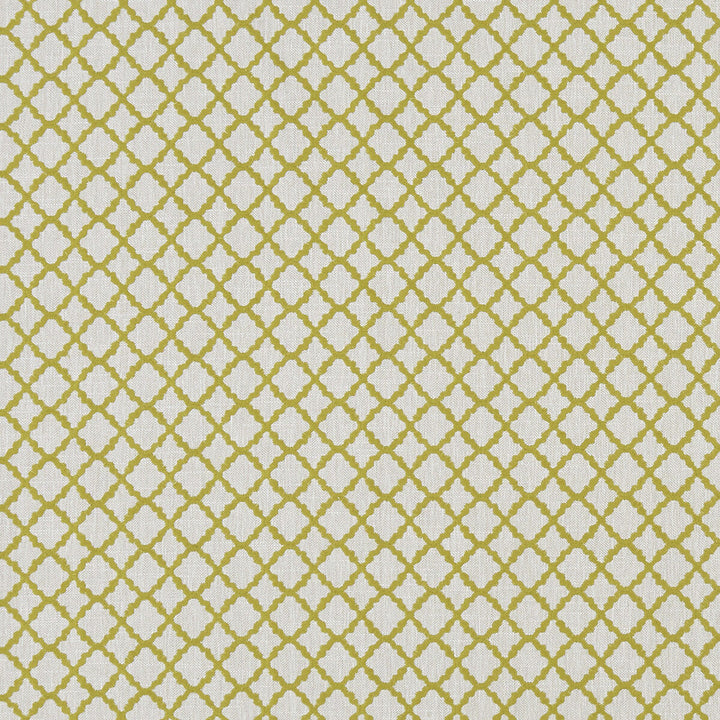 Ariyana Chartreuse by Clarke And Clarke Designer Fabric CLARKE & CLARKE PRINCE OF PERSIA COTTON - 61%;POLYESTER - 24%;VISCOSE - 15% India - Horizontal: 1.625 and Vertical: 1.625 50.5 - Swanky Fabrics -