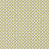 Clarke And Clarke Fabric Ariyana Chartreuse