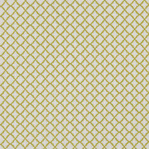 Clarke And Clarke Fabric Ariyana Chartreuse