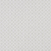 Clarke And Clarke Fabric Ariyana Ivory