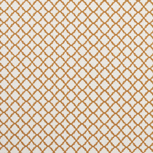 Clarke And Clarke Fabric Ariyana Spice