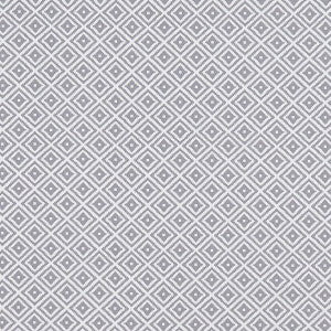 Clarke And Clarke Fabric Kiki Smoke