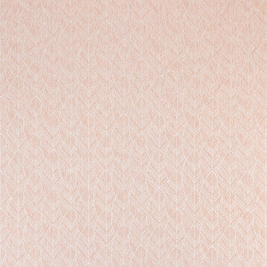 Clarke And Clarke Fabric Atika Blush