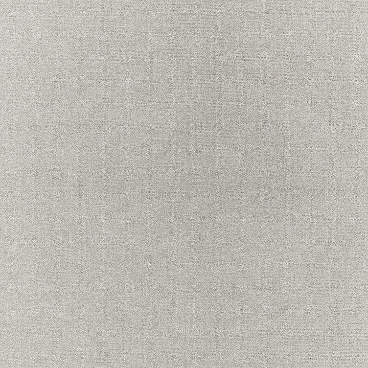 Acies Silver by Clarke And Clarke Fabric Clarke And Clarke Fabric Acies SilverFabric CLARKE & CLARKE PURUS POLYESTER - 86%;ACRYLIC - 10%;COTTON - 4% Spain </p><p>Repeat: H: 0, V: 0 56 - Fabric Carolina -