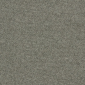 Clarke And Clarke Fabric Filum Earth