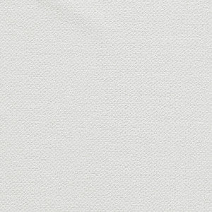 Clarke And Clarke Fabric Filum Polar