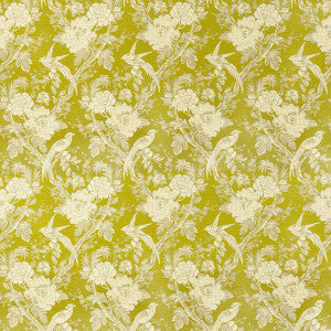 Clarke And Clarke Fabric Avium Chartreuse