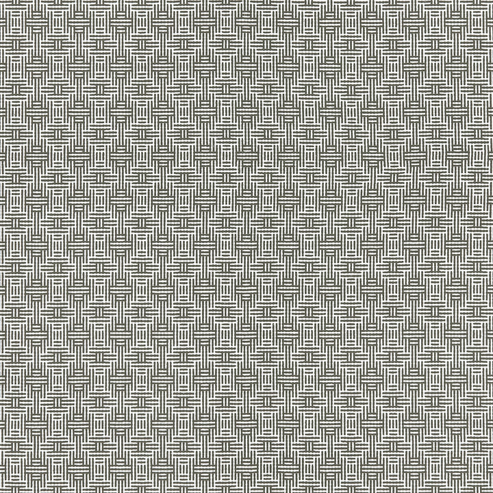 Aztec Charcoal by Clarke And Clarke Fabric Clarke And Clarke Fabric Aztec CharcoalFabric CLARKE & CLARKE ORIGINS COTTON - 100% India </p><p>Repeat: H: 1.5, V: 1.7 55 - Fabric Carolina -