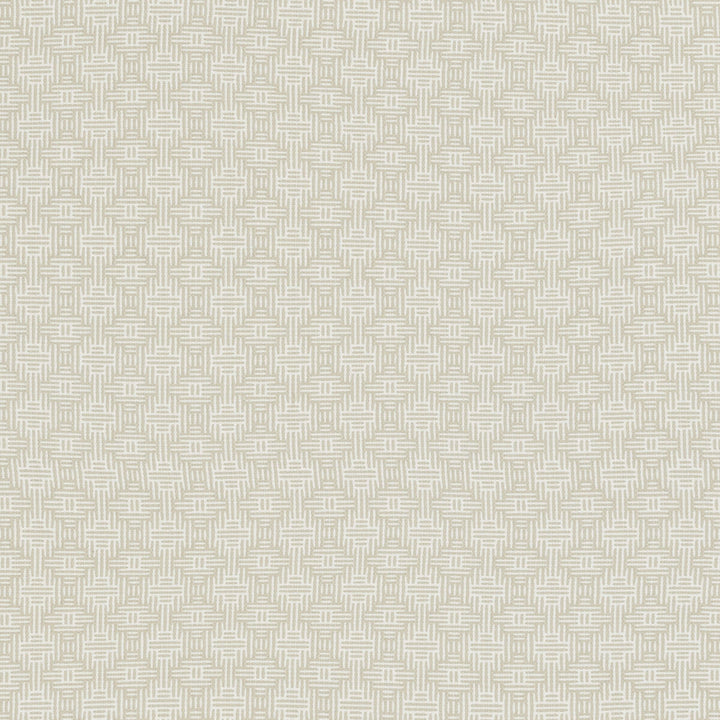 Aztec Ivory by Clarke And Clarke Fabric Clarke And Clarke Fabric Aztec IvoryFabric CLARKE & CLARKE ORIGINS COTTON - 100% India </p><p>Repeat: H: 1.5, V: 1.7 55 - Fabric Carolina -