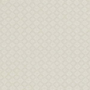 Clarke And Clarke Fabric Aztec Ivory