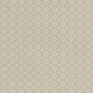 Clarke And Clarke Fabric Aztec Linen