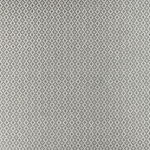 Clarke And Clarke Fabric Mono Charcoal