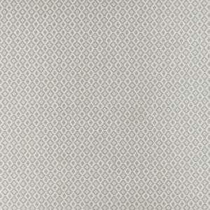 Clarke And Clarke Fabric Mono Silver