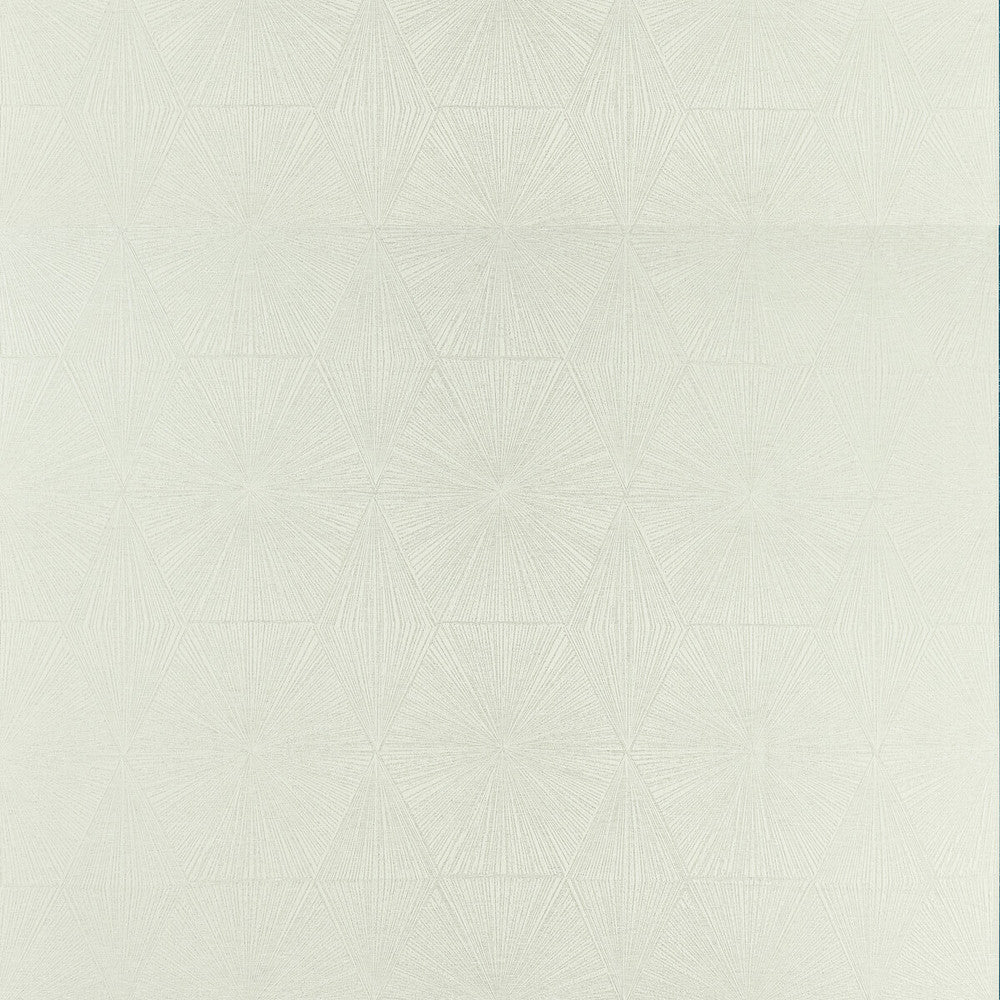 Blaize Silver by Clarke And Clarke Fabric Clarke And Clarke Fabric Blaize SilverFabric CLARKE & CLARKE GEOMO POLYESTER - 92%;COTTON - 8% India </p><p>Repeat: H: 13.5, V: 26.78 54 - Fabric Carolina -