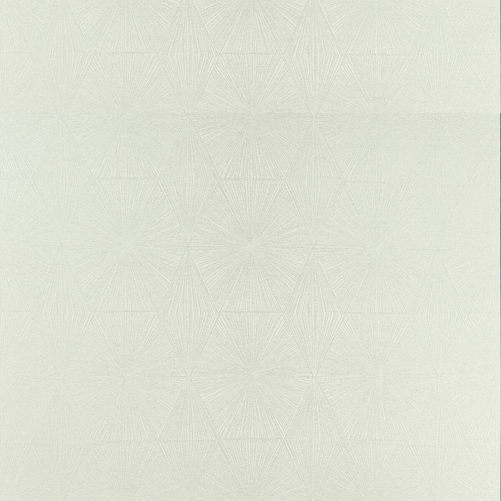 Blaize Silver by Clarke And Clarke Fabric Clarke And Clarke Fabric Blaize SilverFabric CLARKE & CLARKE GEOMO POLYESTER - 92%;COTTON - 8% India </p><p>Repeat: H: 13.5, V: 26.78 54 - Fabric Carolina -