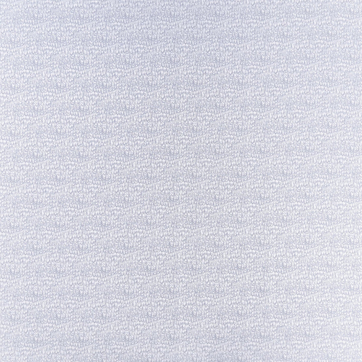 Erebia Silver by Clarke And Clarke Fabric Clarke And Clarke Fabric Erebia SilverFabric CLARKE & CLARKE GEOMO POLYESTER - 100% India </p><p>Repeat: H: 6.75, V: 7.09 54 - Fabric Carolina -