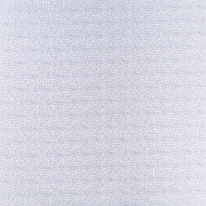 Clarke And Clarke Fabric Erebia Silver