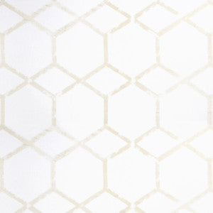 Clarke And Clarke Fabric Forma Champagne