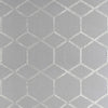 Clarke And Clarke Fabric Forma Charcoal/Silver