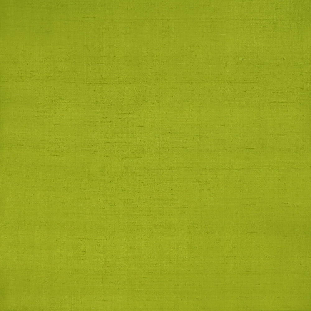 Slyph Lime by Clarke And Clarke Fabric Clarke And Clarke Fabric Slyph LimeFabric WILDERIE BY EMMA J SHIPLEY FOR C&C SILK - 100% India </p><p>Repeat: H: 0, V: 0 54 - Fabric Carolina -