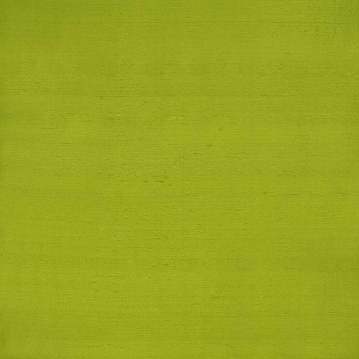 Slyph Lime by Clarke And Clarke Fabric Clarke And Clarke Fabric Slyph LimeFabric WILDERIE BY EMMA J SHIPLEY FOR C&C SILK - 100% India </p><p>Repeat: H: 0, V: 0 54 - Fabric Carolina -