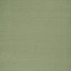 Clarke And Clarke Fabric Slyph Pistachio