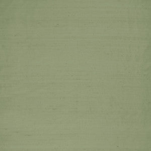 Clarke And Clarke Fabric Slyph Pistachio
