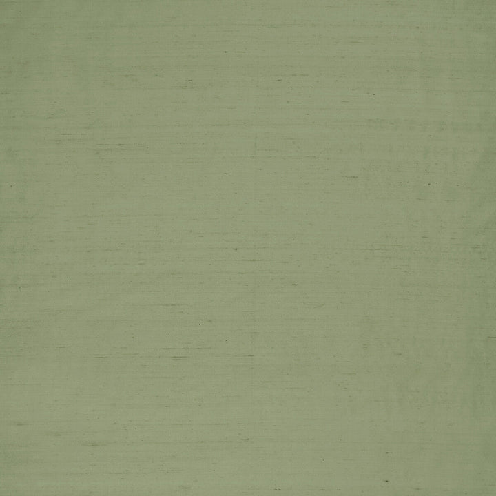 Slyph Pistachio by Clarke And Clarke Fabric Clarke And Clarke Fabric Slyph PistachioFabric WILDERIE BY EMMA J SHIPLEY FOR C&C SILK - 100% India </p><p>Repeat: H: 0, V: 0 54 - Fabric Carolina -
