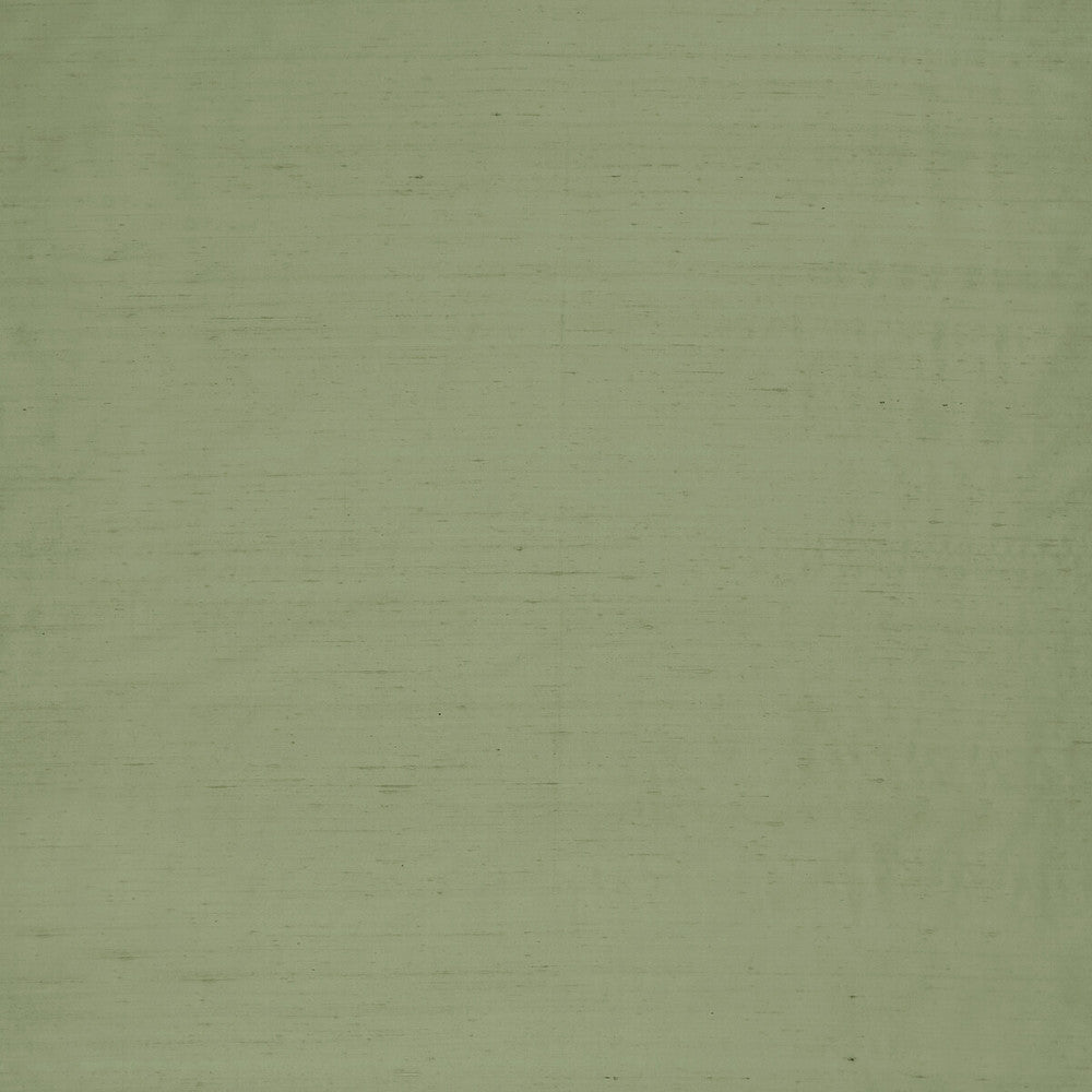 Slyph Pistachio by Clarke And Clarke Designer Fabric WILDERIE BY EMMA J SHIPLEY FOR C&C SILK - 100% India Horizontal: 0 and Vertical: 0 54 - Swanky Fabrics -